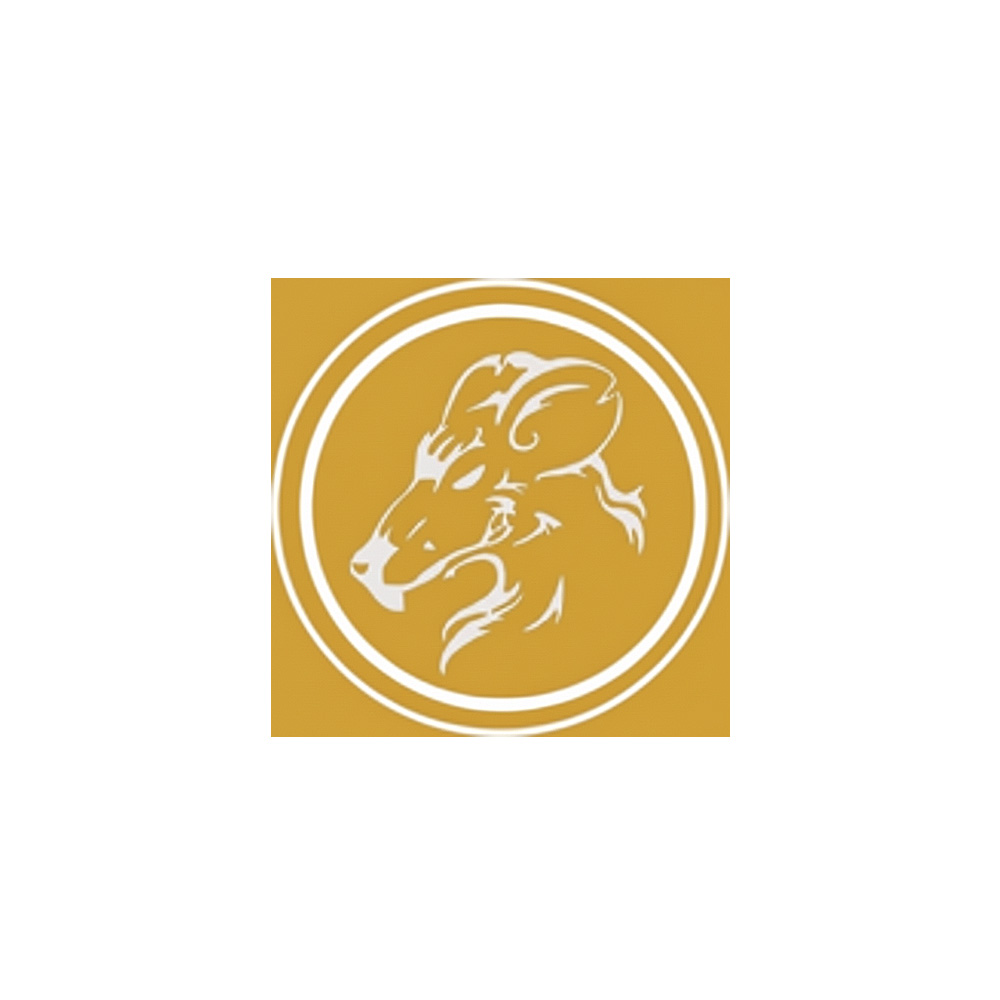 Ratto Fitness Academia